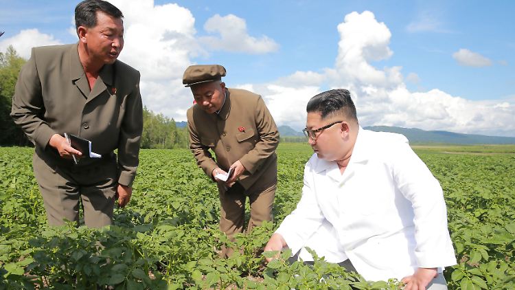 Kim Jong Un inspiziert ein Feld im nordkoreanischen  Samjiyon County.
