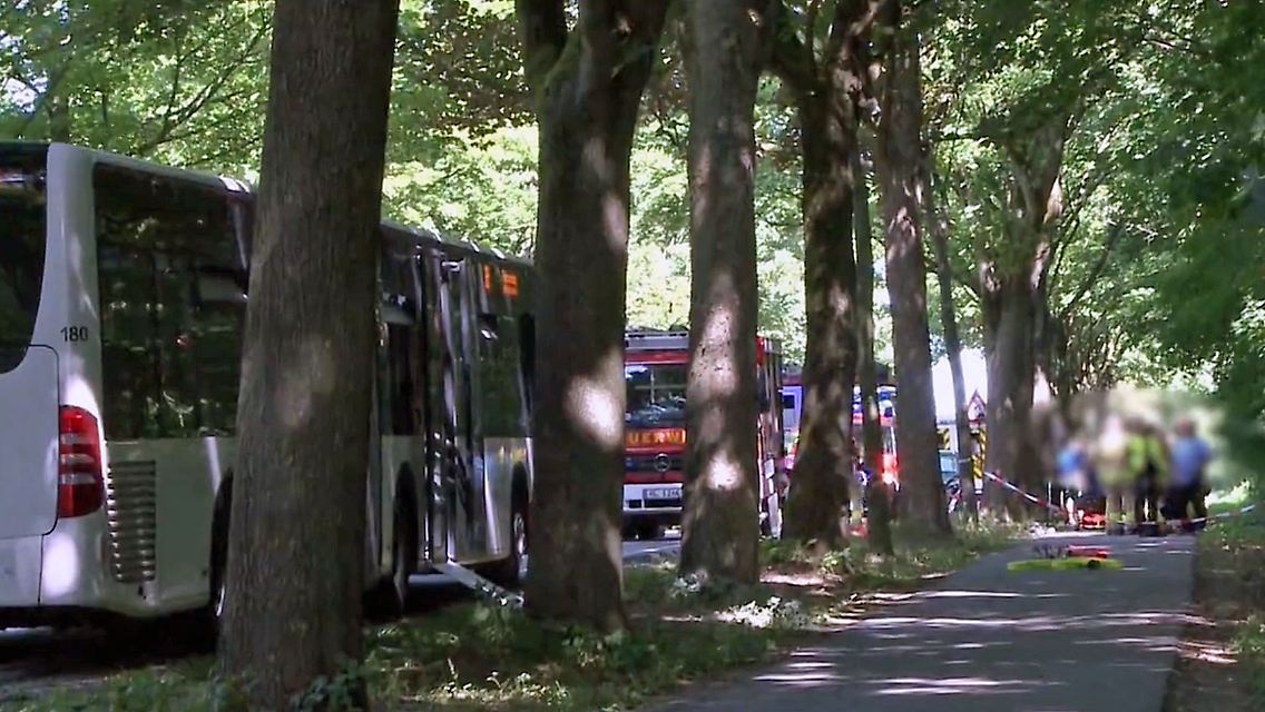 MesserBusLübeck.jpg