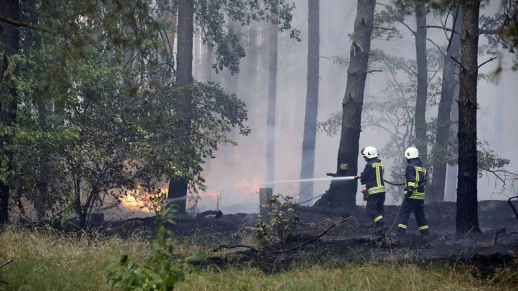 Stundenlang kämpfte die Polizei gegen die Flammen.