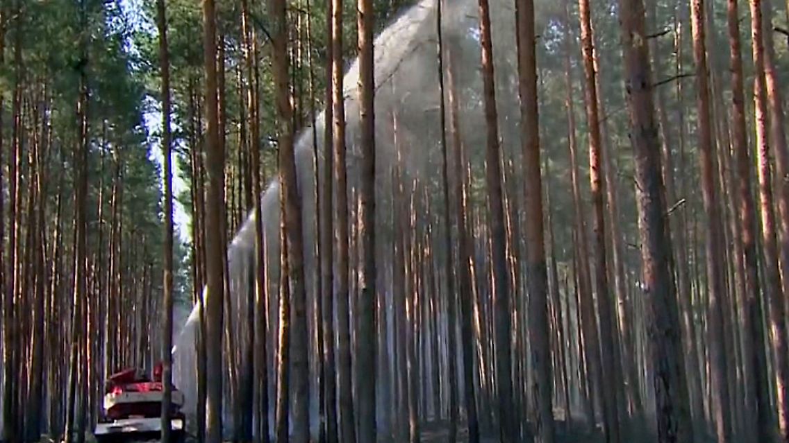 Waldbrand2.jpg