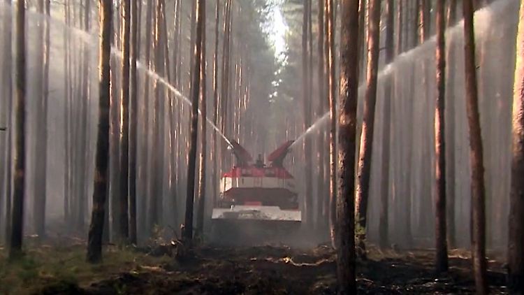 WAldbrände_Brandenburg.jpg