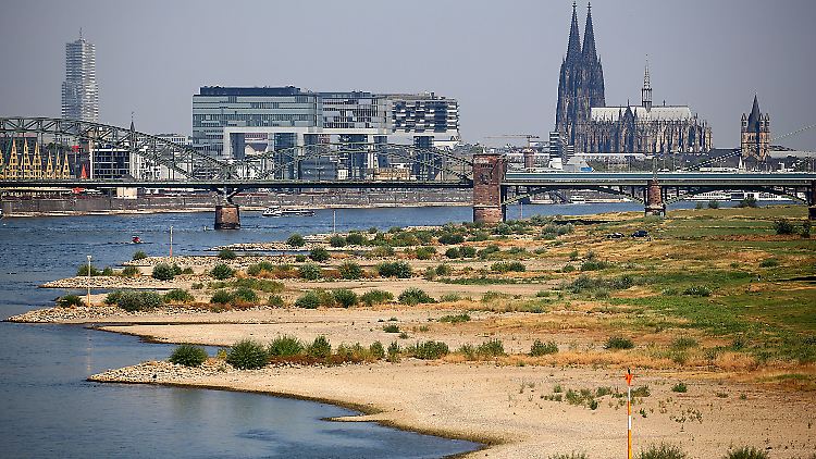 Aufgrund der anhaltenden Trockenheit führt auch der Rhein Niedrigwasser. 
