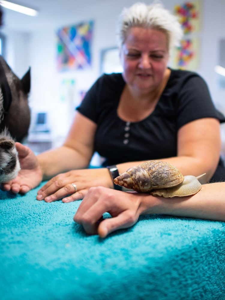 Unter der Aufsicht der Tier-Therapeutin kriecht Schnecke Turbo über Patient Saschas Arm.