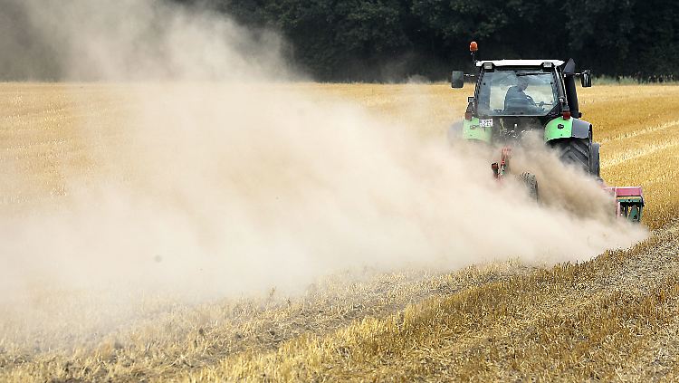 Die deutschen Felder sind staubtrocken. Die Bauern fordern wegen der Ernteausfäle mindestens eine Milliarde Euro vom Staat. 