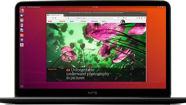 Ubuntu ist eine gute und kostenlose Alternative zu Windows.