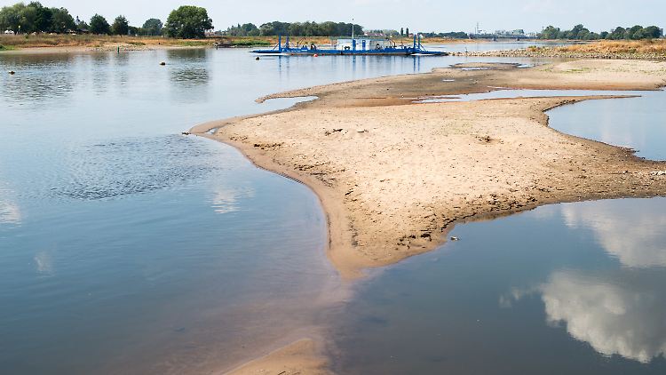 Die Elbe bei Ronney (Sachsen-Anhalt).