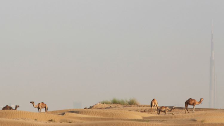 Wüste vor Dubai, hinten rechts steht das Burj Khalifa, das höchste Gebäude der Welt. 