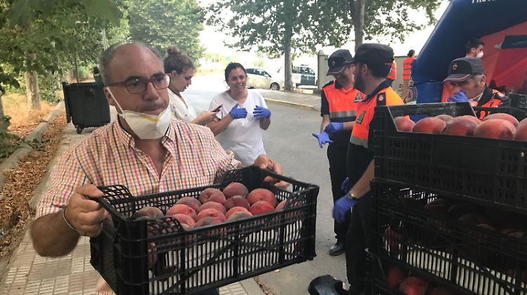 Jede hand wird gebraucht. Der stellvertrende Bürgermeister in Los Barrios, Gómez, packt mit an.
