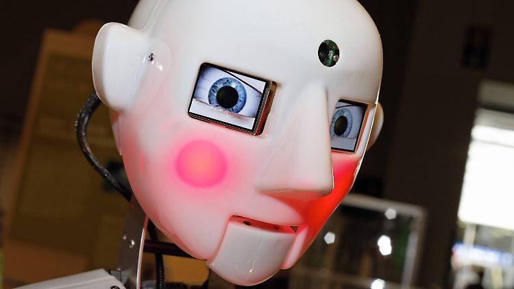 Weil rote Wangen etwas Menschliches ist, wird es auch bei humanoiden Robotern installiert.