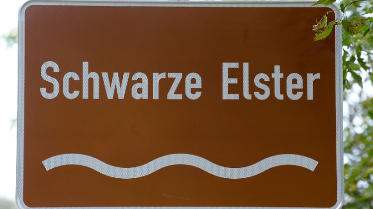 Die Schwarze Elster ist ein Nebenfluss der Elbe.