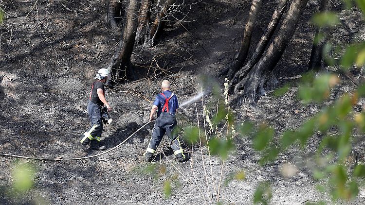 Hunderte Rettungskräfte sind im Einsatz.