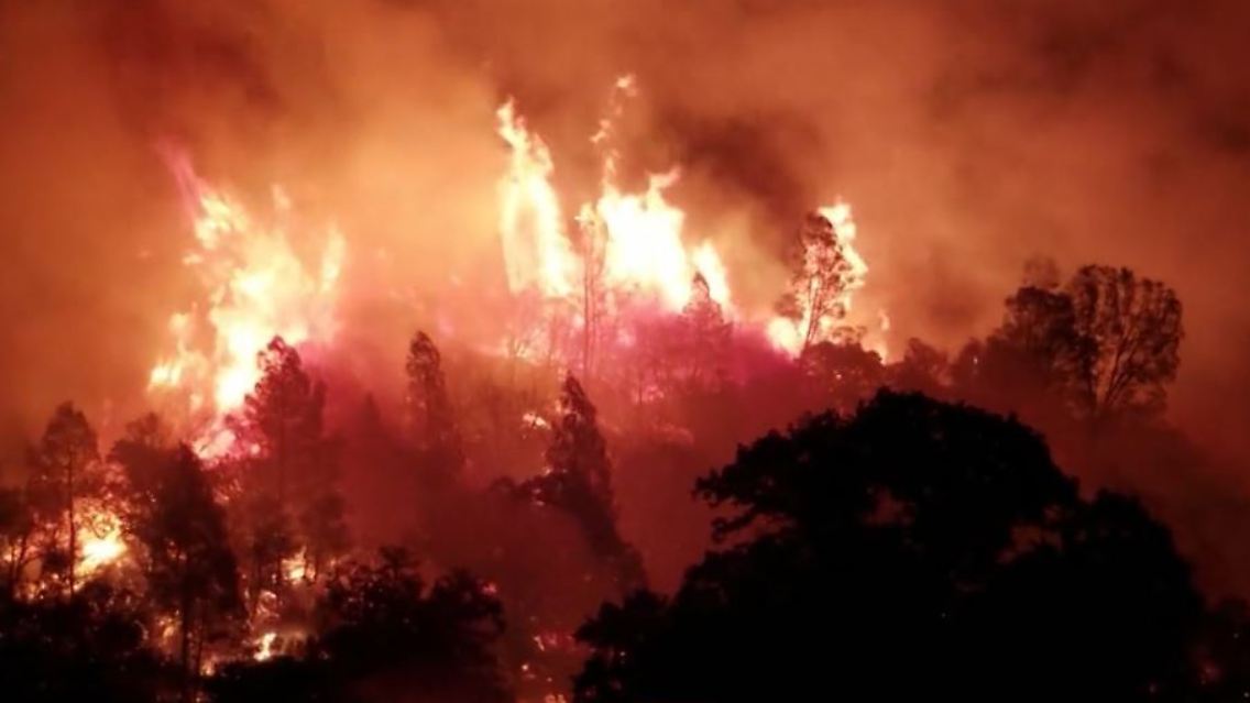 feuer.JPG
