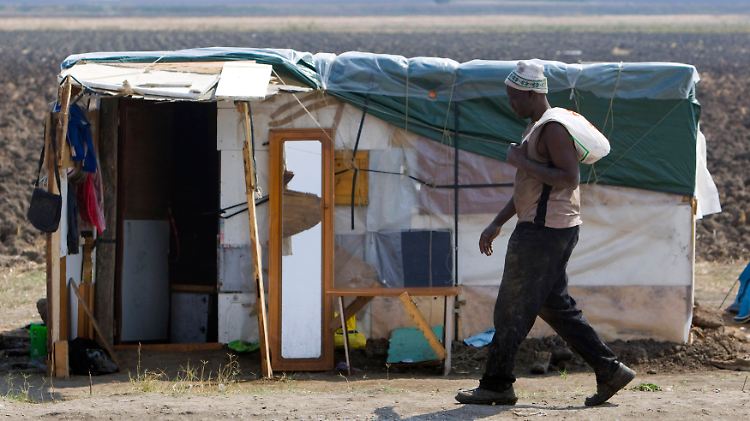Feldarbeiter vor seinem Unterschlupf in Apulien. Der Hass auf Schwarzafrikaner in Italien nimmt zu. Auf den Feldern Süditaliens sind sie weiterhin willkommen.