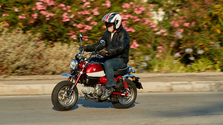 Bis zu 90 km/h kann die Honda Monkey in ihrer Neuauflage schnell werden.