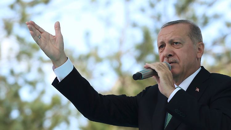 Erdogan bei seinem Auftritt in Bayburt.