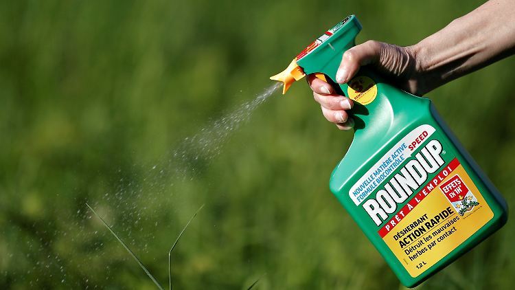 Der Unkrautvernichter Roundup enthält Glyphosat.
