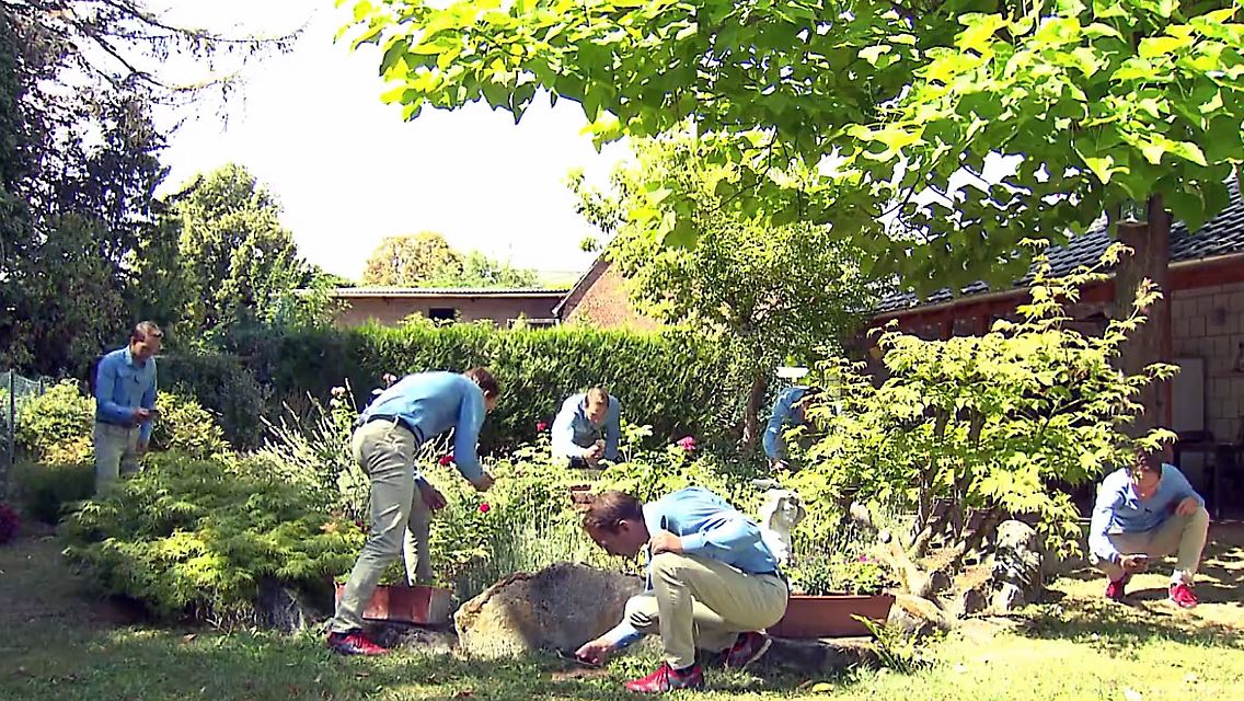 Insektenzählen.jpg