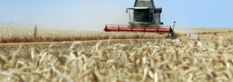 Thema: Landwirtschaft