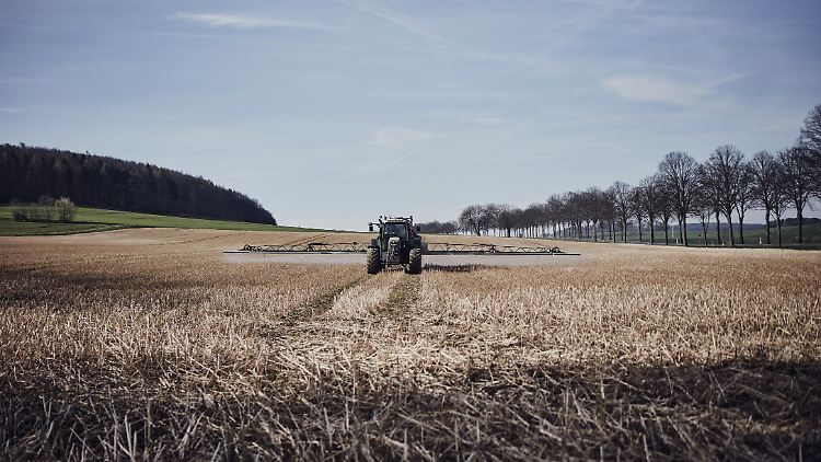 Bayer kann sich direkt um den Glyphosat-Rechtsstreit kümmern.