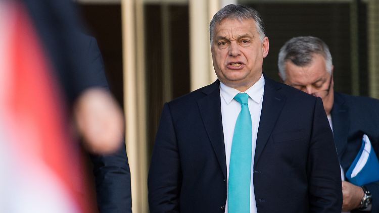 Der national-konservative Kurs von Ungarns Ministerpräsident Viktor Orban betrifft auch den akademischen Betrieb des Landes.