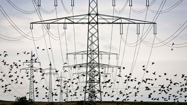 Drei Tage lang will sich Altmaier in Deutschland den Fortgang der Energiewende anschauen.
