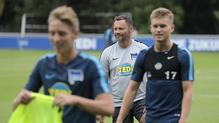Hat die Zukunft im Blick: Trainer Pal Dardai.