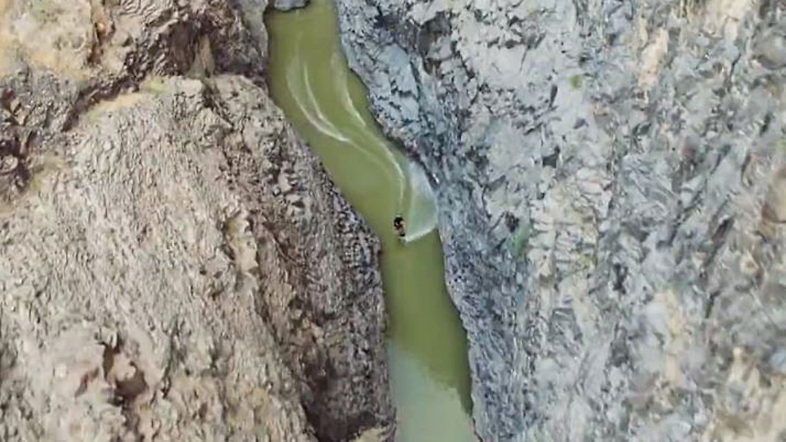 Wakeskater.JPG