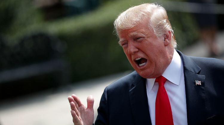 Trump wirft auch etablierten US-Medien immer wieder "Fake News" vor.