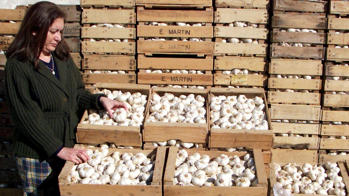 Knoblauch auf einem Markt in Spanien. Aberglauben in allen Ehren, aber die EZB greift im Kampf gegen die Krise wohl eher bei Staatsanleihen zu.