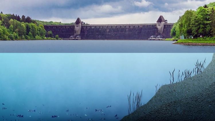 Möhnesee Sauerstoffmangel Gewässer.JPG