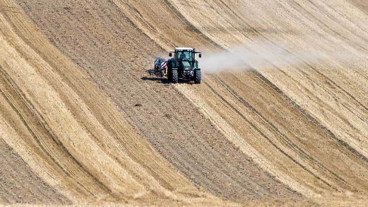 Die Bauern haben dieses Jahr 35,6 Millionen Tonnen Getreide geerntet, ein Rückgang von 26 Prozent.