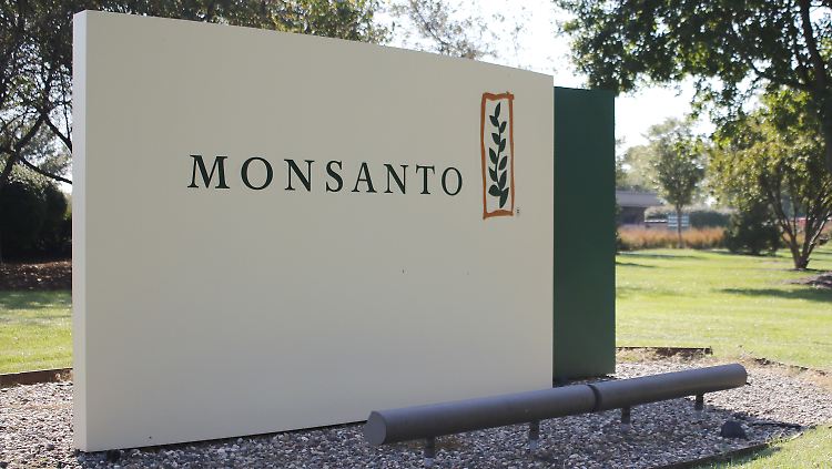 Ermutigt fühlt sich Bauer Terlet durch das jüngste Urteil gegen Monsanto, bei dem ein US-Gericht einem Krebskranken umgerechnet rund 250 Millionen Euro Schadenersatz zusprach.