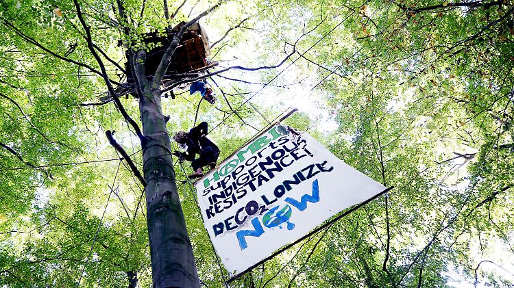 Seit Jahren kämpfen Aktivisten und Umweltverbände gegen die Rodung des Hambacher Waldes.