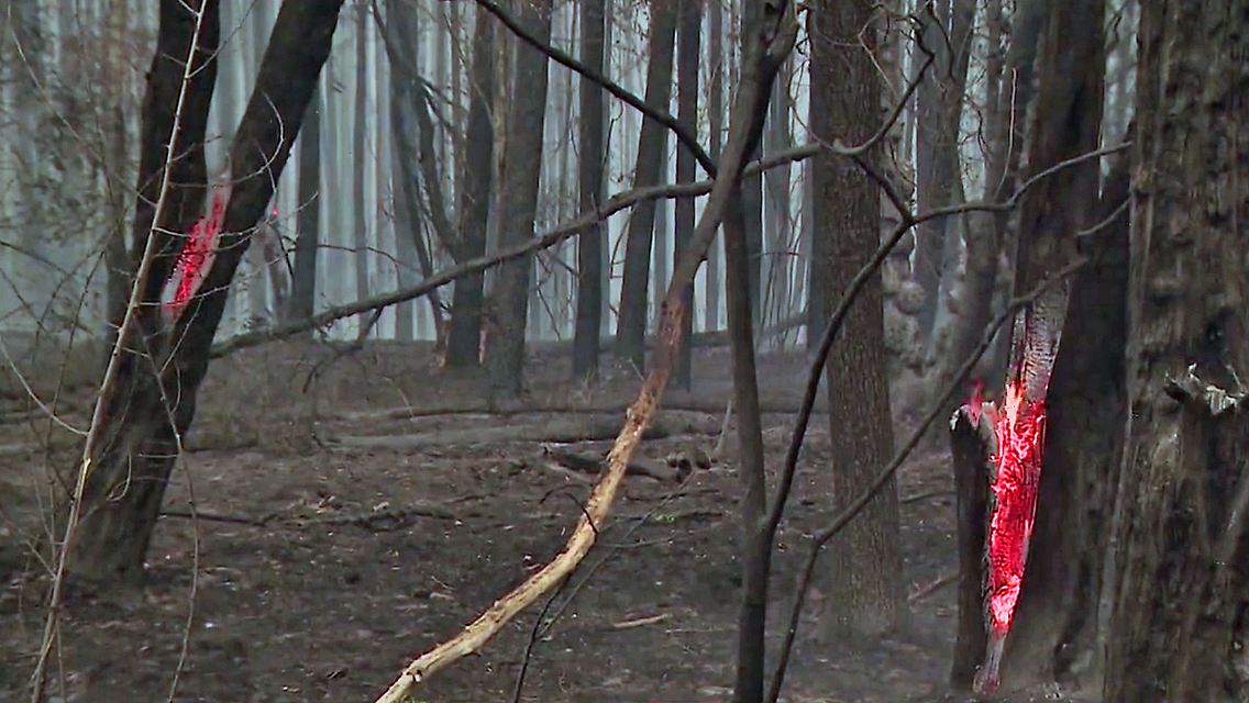 WaldbrandbeiBerlin.jpg
