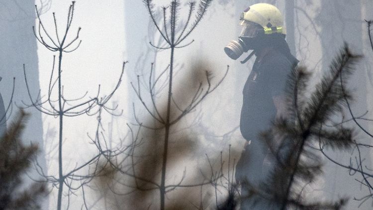 Rund 400 Einsatzkräfte kämpften am Wochenende gegen die Flammen.