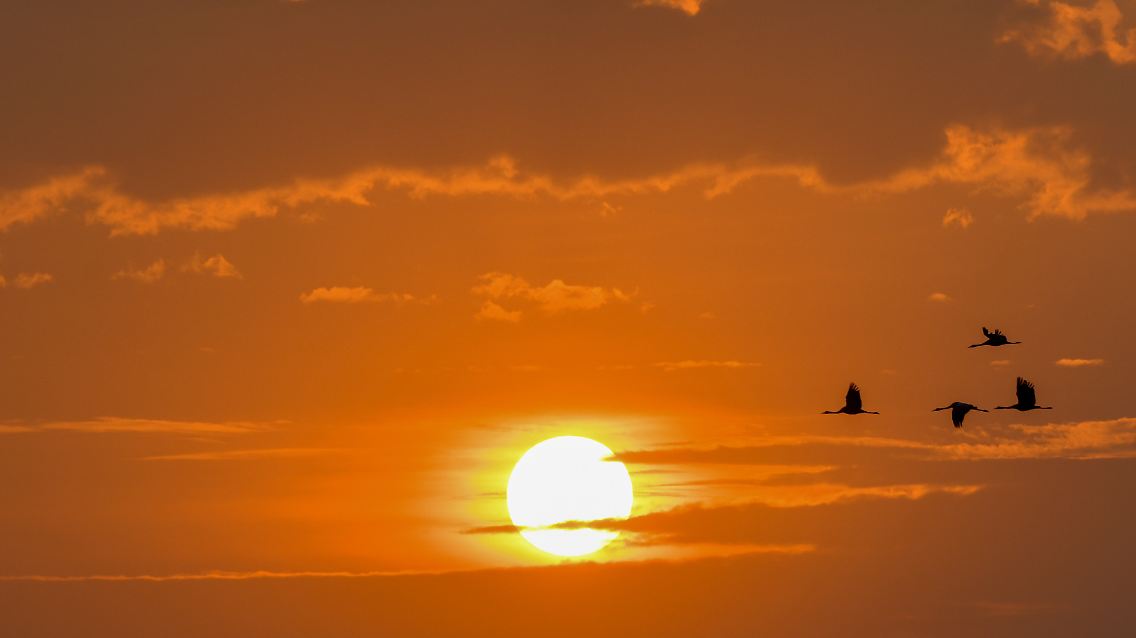 Vor allem im Südosten zeigt sich die Sonne.
