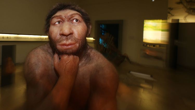 Ein von Rodin gestalteter Neandertaler in Denkerpose steht im Museum für Vorgeschichte in Halle/Saale.