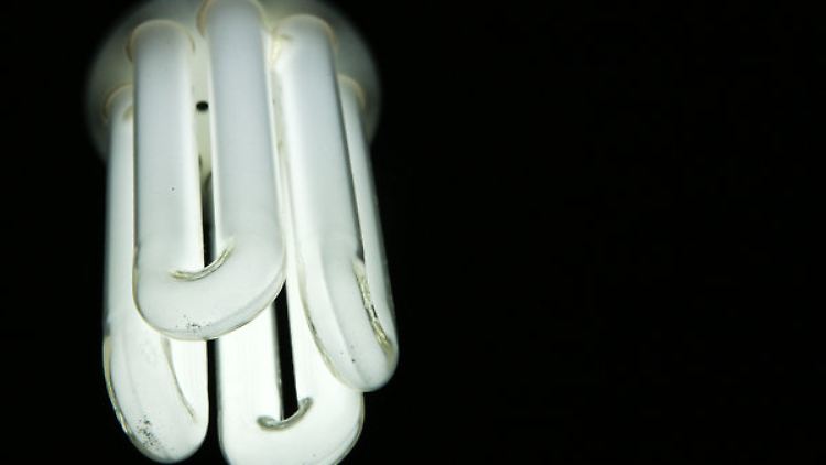 In der EU ist die Energiesparlampe auf dem Vormarsch.