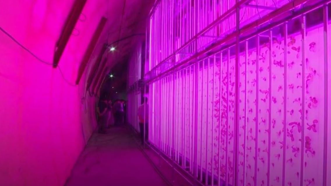 tunnel.JPG