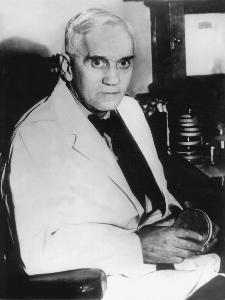 Der britische Bakteriologe Alexander Fleming wurde 1945 mit dem Nobelpreis ausgezeichnet.