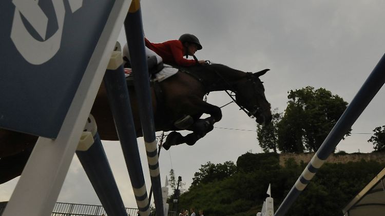 Junge Springreiter aus dem Nationalkader sollen unter Alkoholeinfluss auf Turnieren junge Mädchen gefügig gemacht haben.