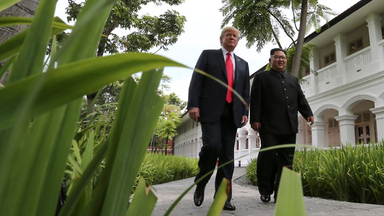 Donald Trump und Kim Jong Un blicken in eine kooperative gemeinsame Zukunft.