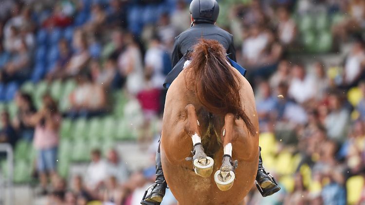 Die Corona-Krise stellt viele Reitsportvereine vor existenzielle Krisen.
