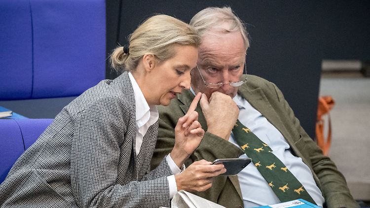 Die AfD-Fraktionsvorsitzenden Alice Weidel und Alexander Gauland wappnen sich gegen eine mögliche Beobachtung.