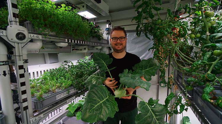 Für das Projekt ist Raumfahrtingenieur Paul Zabal zum Gärtner geworden - und das mit Erfolg.