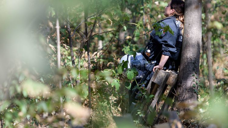 Die Polizei will sichergehen, dass es im Hambacher Forst nicht zu weiteren Stürzen kommt.