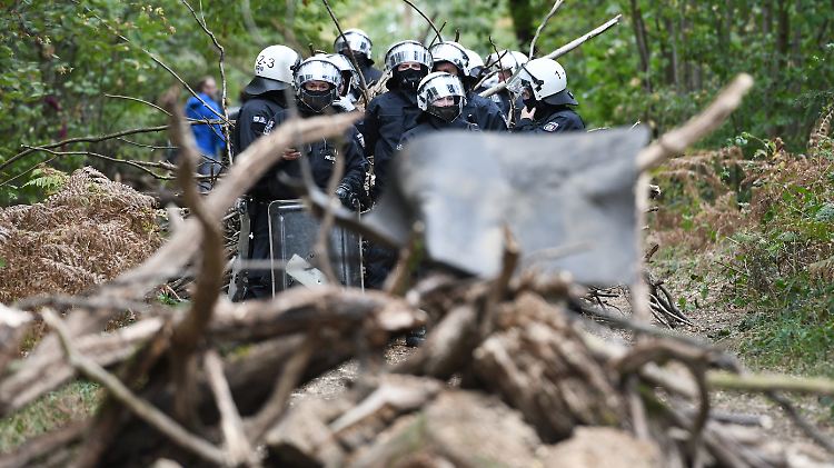Barrikaden wie diese sollen im Hambacher Forst aus dem Weg geräumt werden.