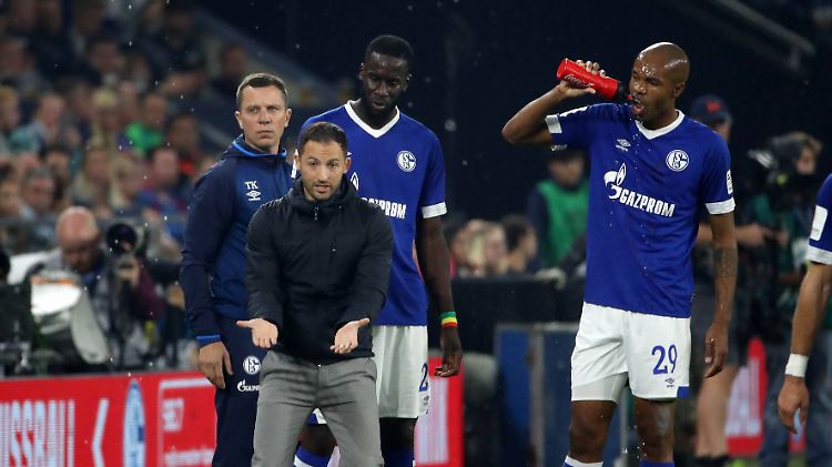 Schalke-Coach Domenico Tedesco muss seine erste große Krise in Gelsenkirchen moderieren.
