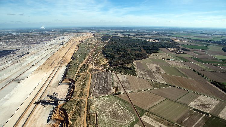 Blick auf den Hambacher Forst.