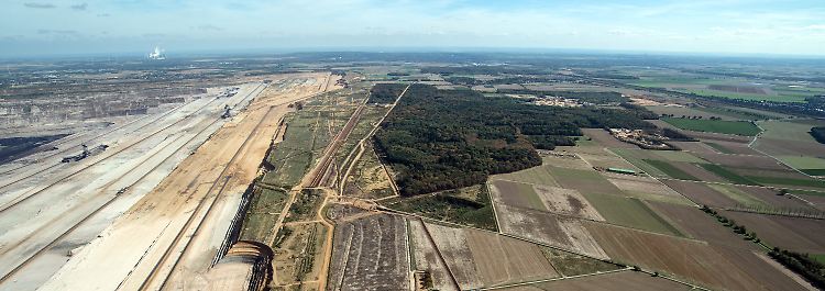 Thema: Hambacher Forst